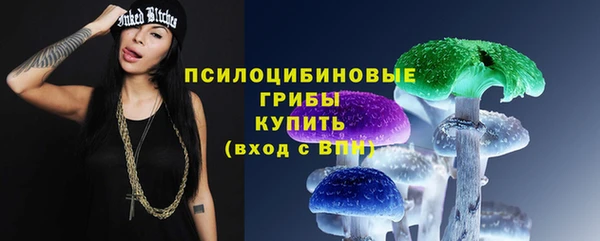 прущие крисы Алзамай