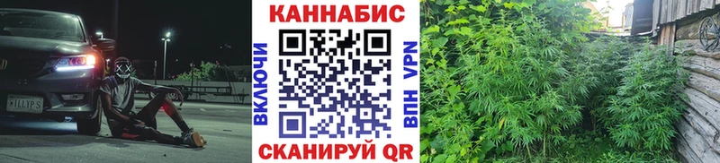Шишки марихуана тримм  мега рабочий сайт  Западная Двина 